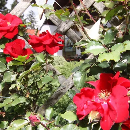 Apartman Wessely Am Golfplatz *